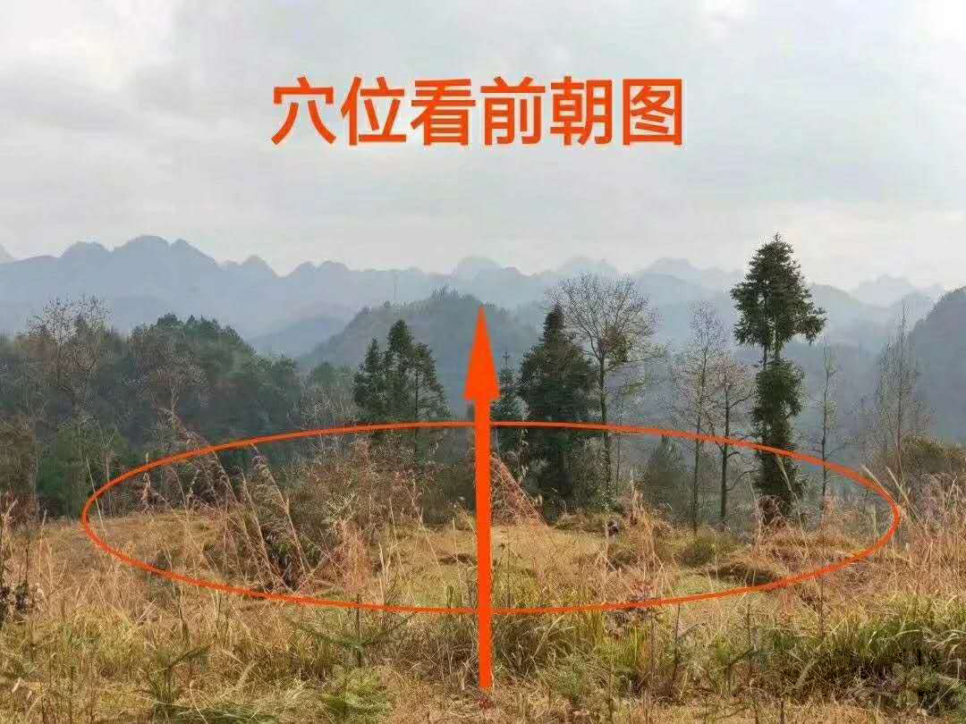 杨公风水培训