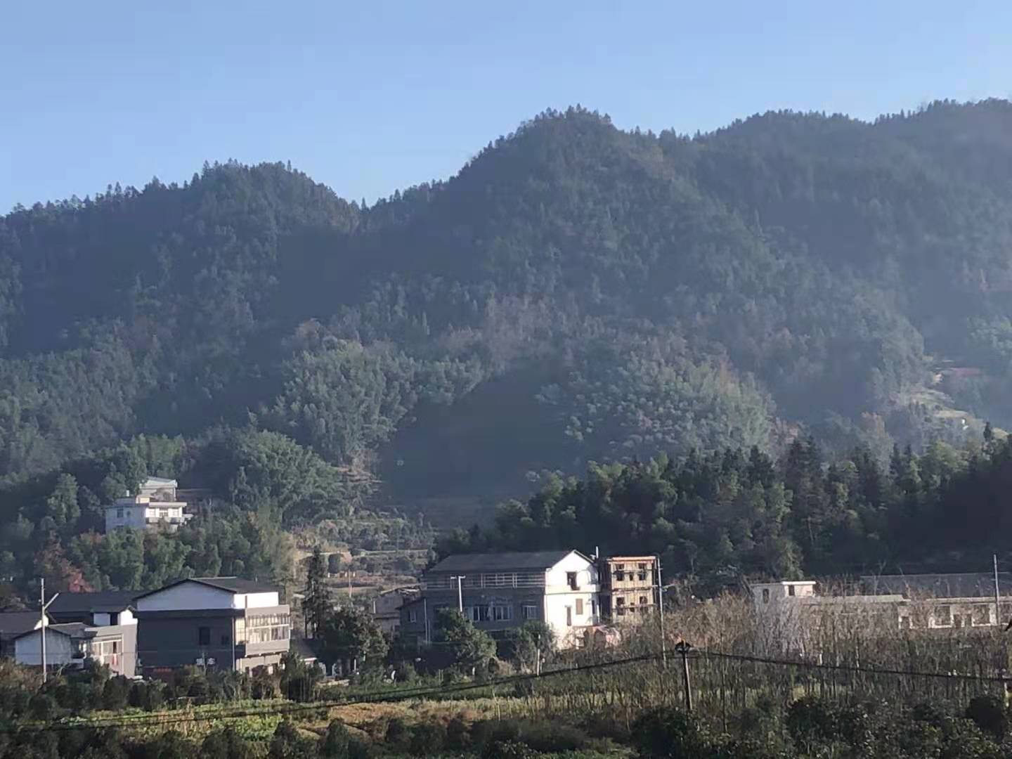 傅国清带弟子寻龙点穴，阴宅风水学习 风水培训