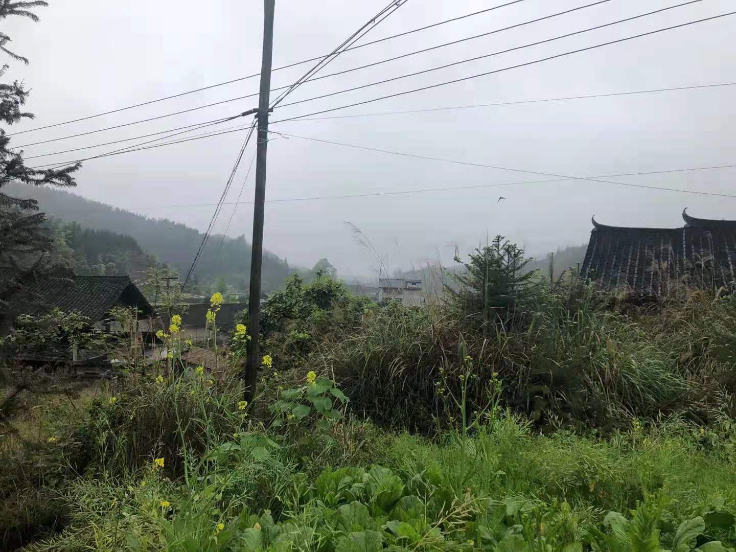 中国知名的风水学习 风水培训 阳宅风水 家居风水师傅国清