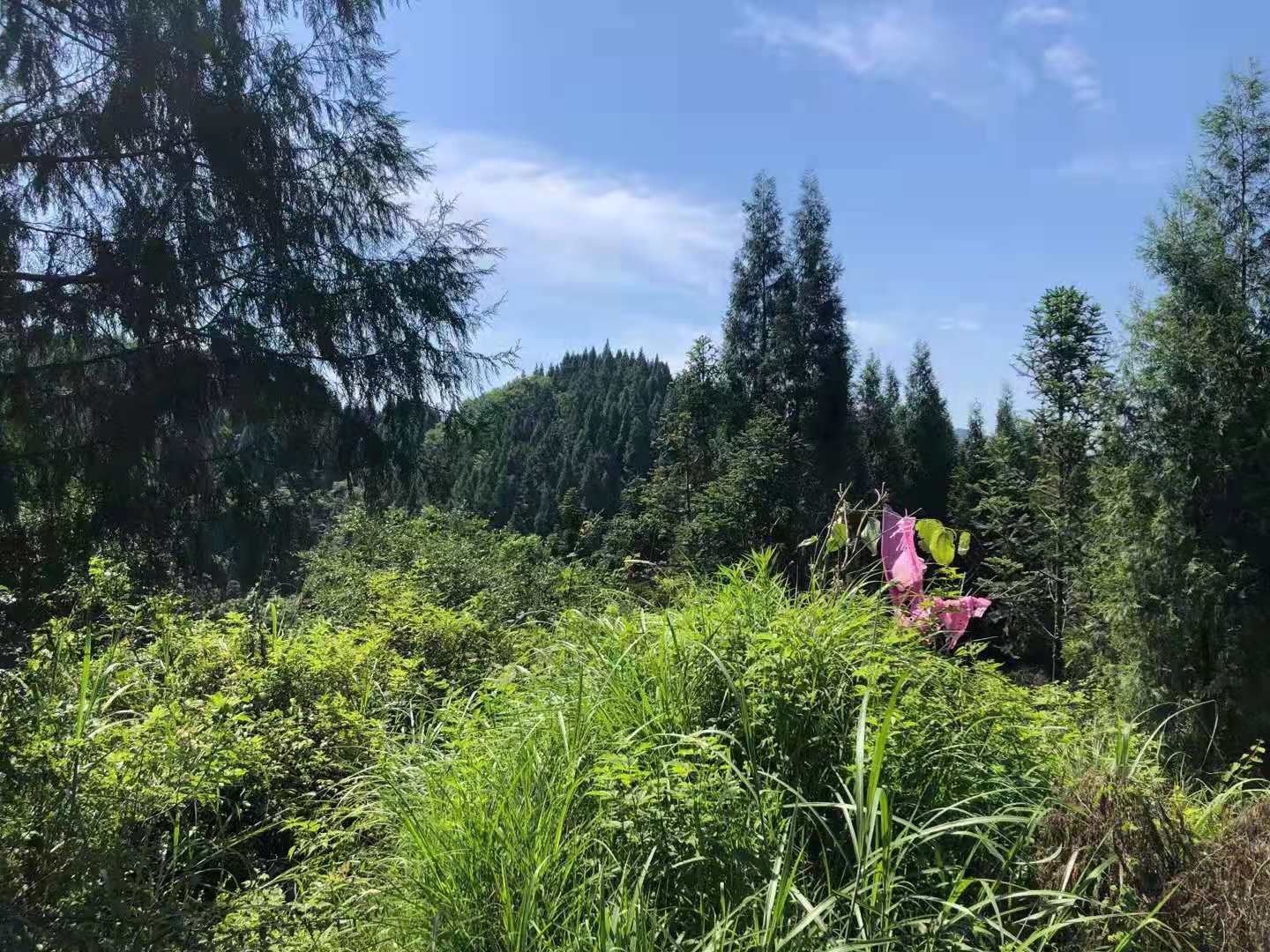 风水培训，负债很多怎么改运？