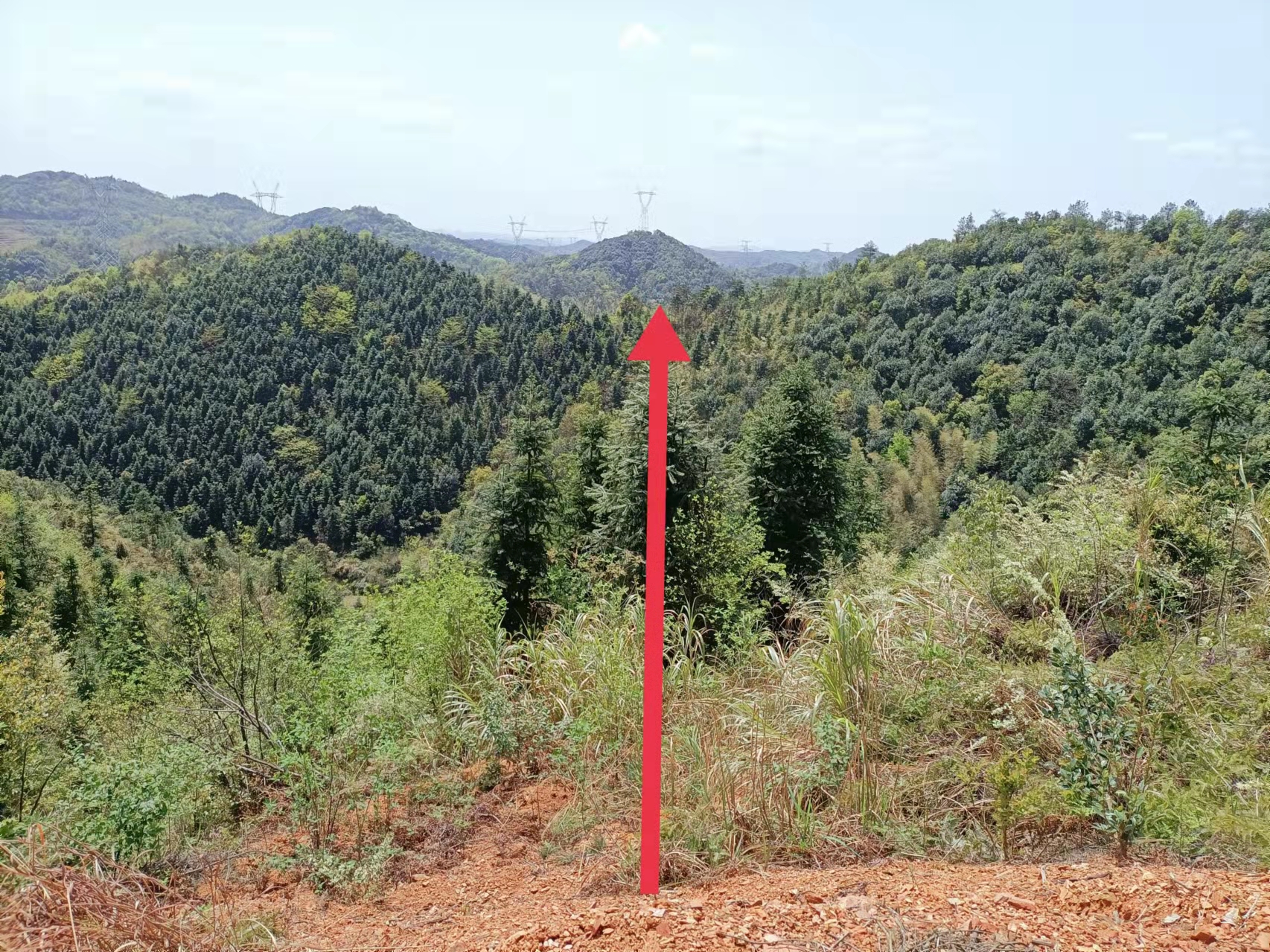 阴宅风水，坟地风水，家居风水，风水培训，傅国清