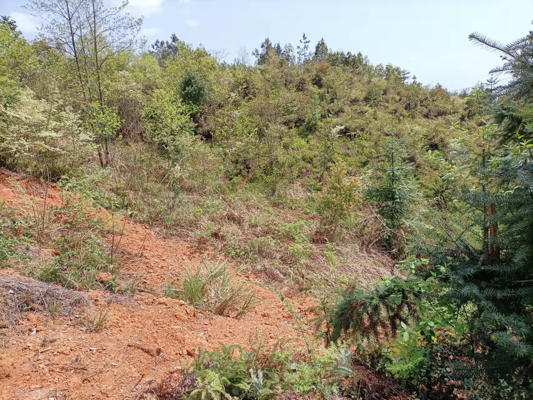 阴宅风水，坟地风水，家居风水，风水培训，傅国清