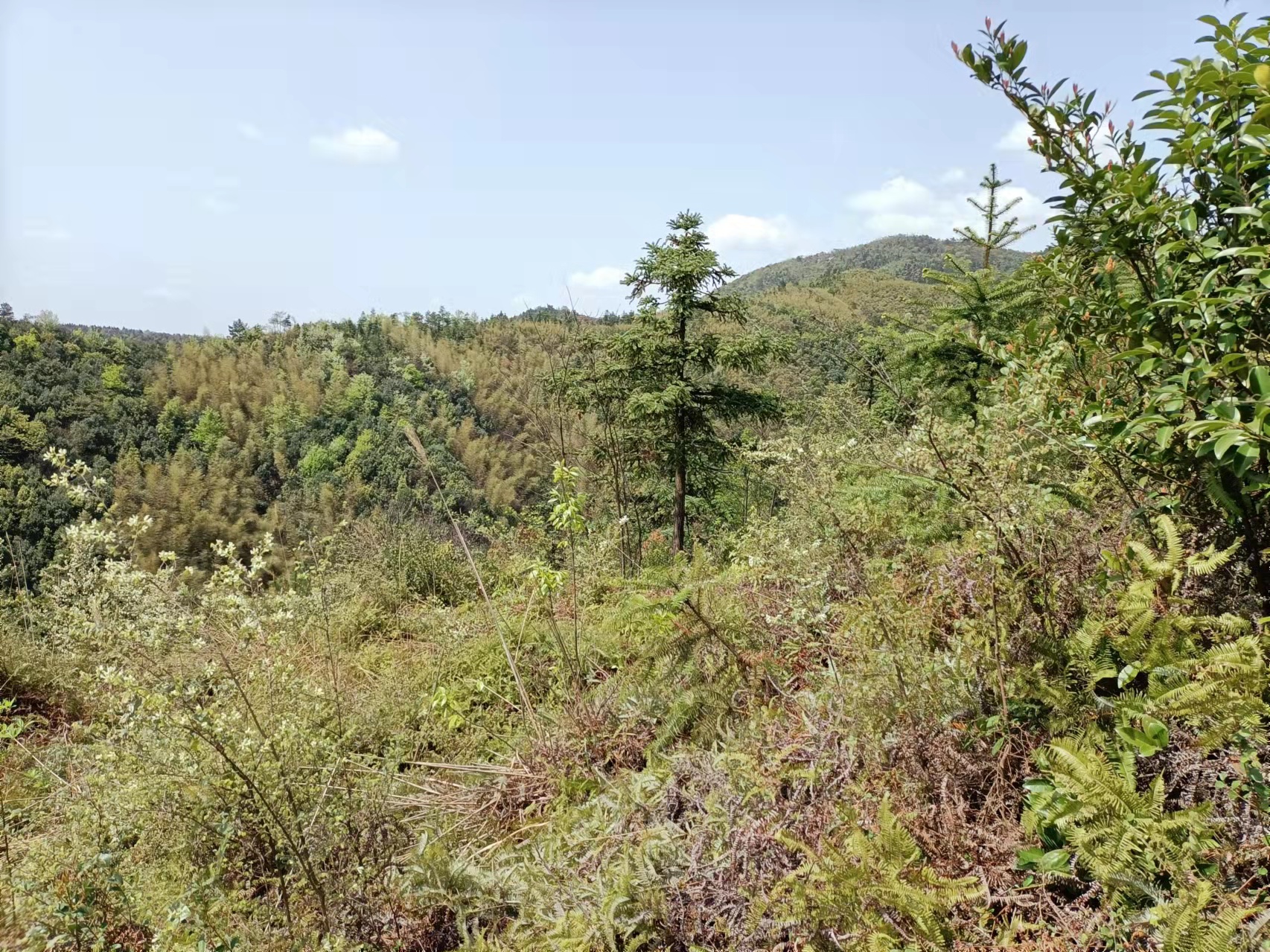 阴宅风水，坟地风水，家居风水，风水培训，傅国清