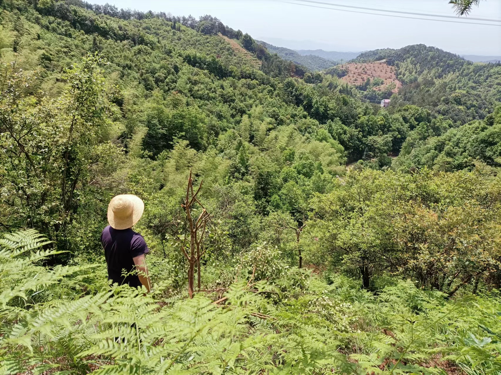 寻龙点穴，坟地风水，迁坟风水，中国厉害风傅国清